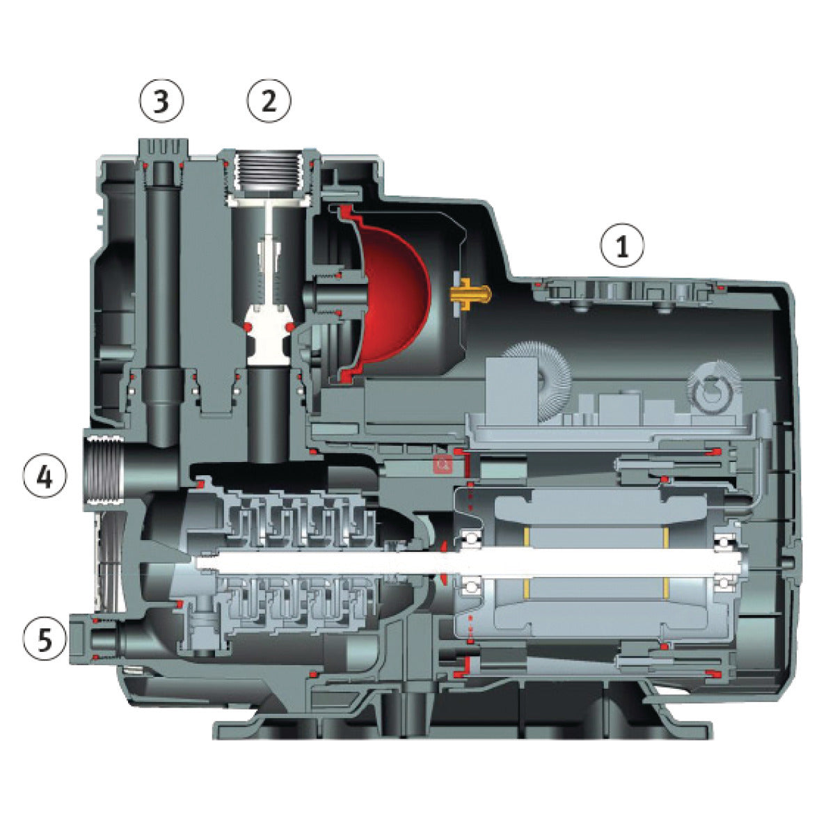 Pump för hem och trädgård GPI 5548 | Cleancraft