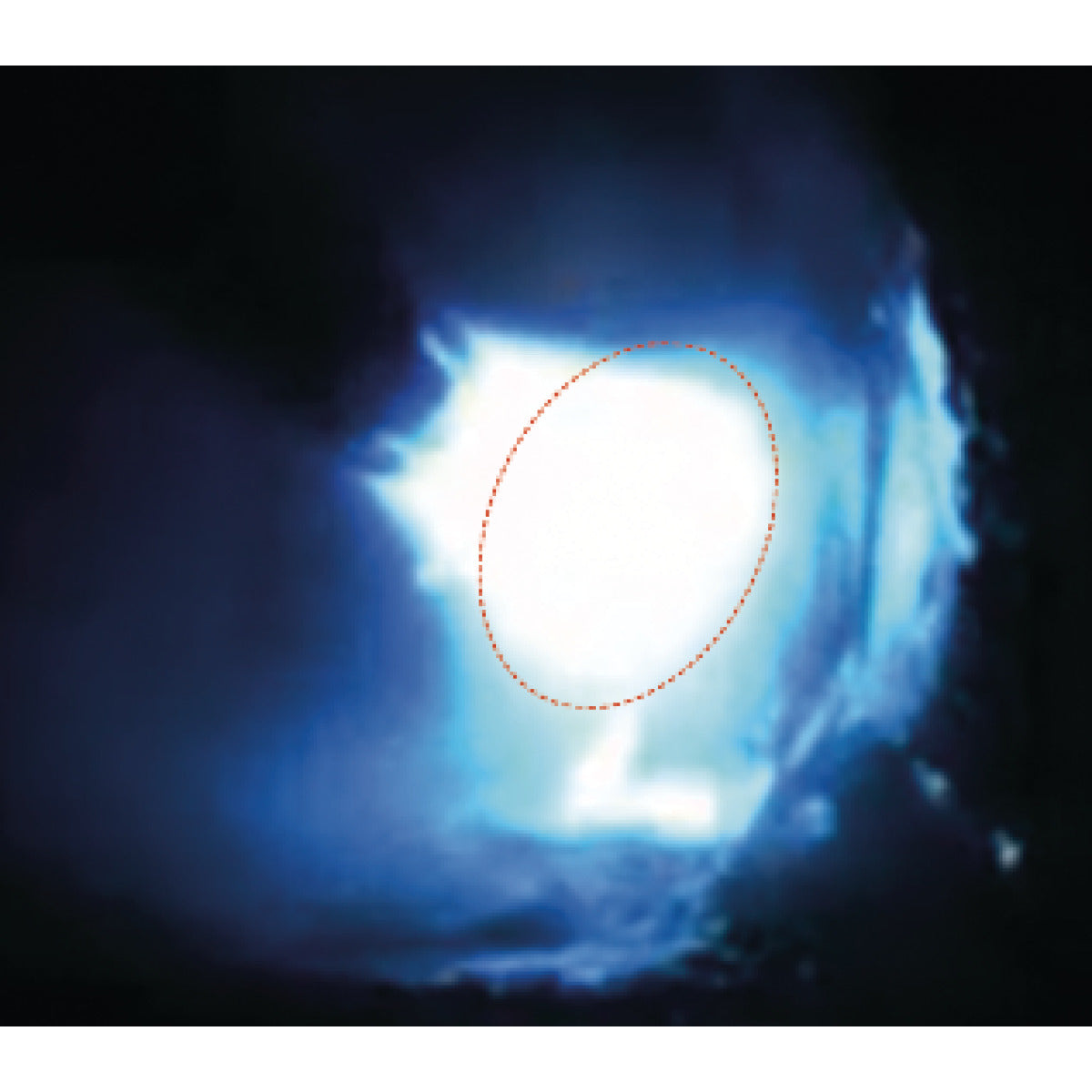 PRO-PULS 400 WS (Profi trolley, control panel on top) MIG/MAG-impulssvets | Schweisskraft