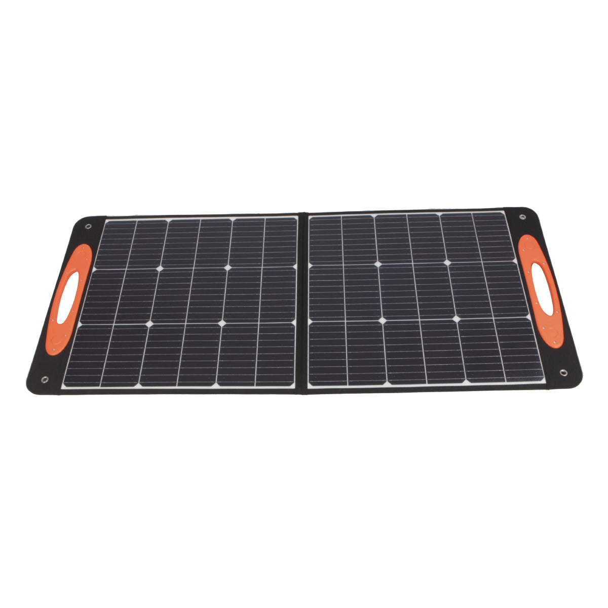Solpanel 100 W